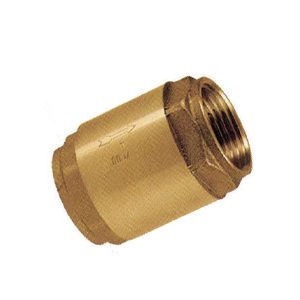 BSPP Female, Brass Spring Check Valves, NBR Seat