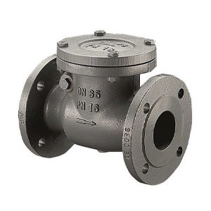 Cast Iron Swing Check Valves, PN16