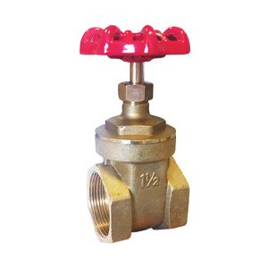 25mm Brass Gate Valves BSPP PN20