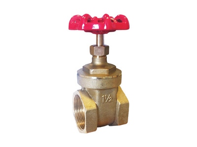 25mm Brass Gate Valves BSPP PN20