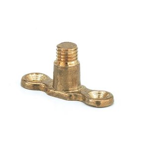 Brass Back Plate Male