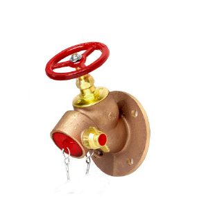 PN16 65mm Bib Nosed Valve