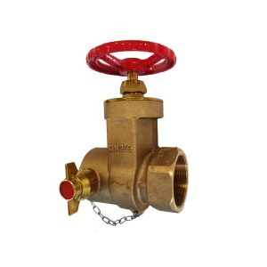 PN16 65mm Female Screwed Valve