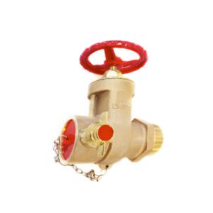 PN16 65mm Male Screwed Valve