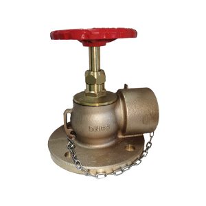 PN16 65mm Right Angled Valve