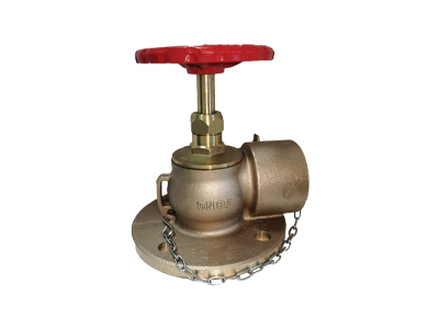 PN16 65mm Bib Nosed Valve