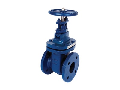 Albion Valves Art 210, BS 10, Cast Iron Gate Valve