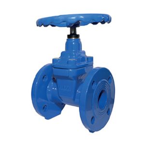 Albion Valves Art 231, PN16, Ductile Iron Resilient Seat Gate Valve