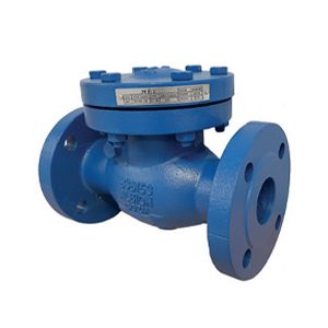 Albion Valves Art 167, PN25, Cast Iron Swing Check Valve