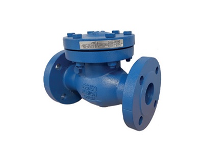 Albion Valves Art 167, PN25, Cast Iron Swing Check Valve