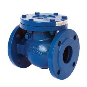 Albion Valves Art 170, PN16, Cast Iron Swing Check Valve