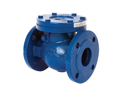 Albion Valves Art 170, PN16, Cast Iron Swing Check Valve